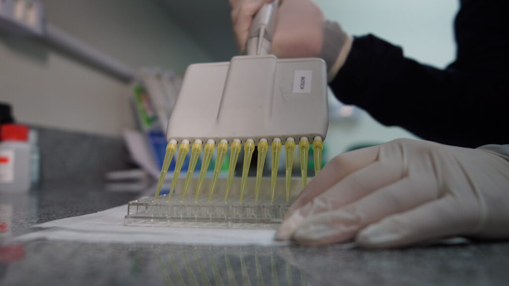 Pesquisa na Unesc foca no aprimoramento de testes de Sífilis e na identificação precoce dos casos em bebês