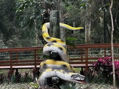 O que há por trás da lenda da Cobra da Itoupava