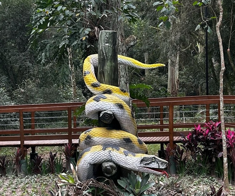 O que há por trás da lenda da Cobra da Itoupava