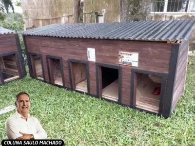 Justiça da razão à prefeitura na retirada das casinhas de cães comunitários da praça Hercílio Luz