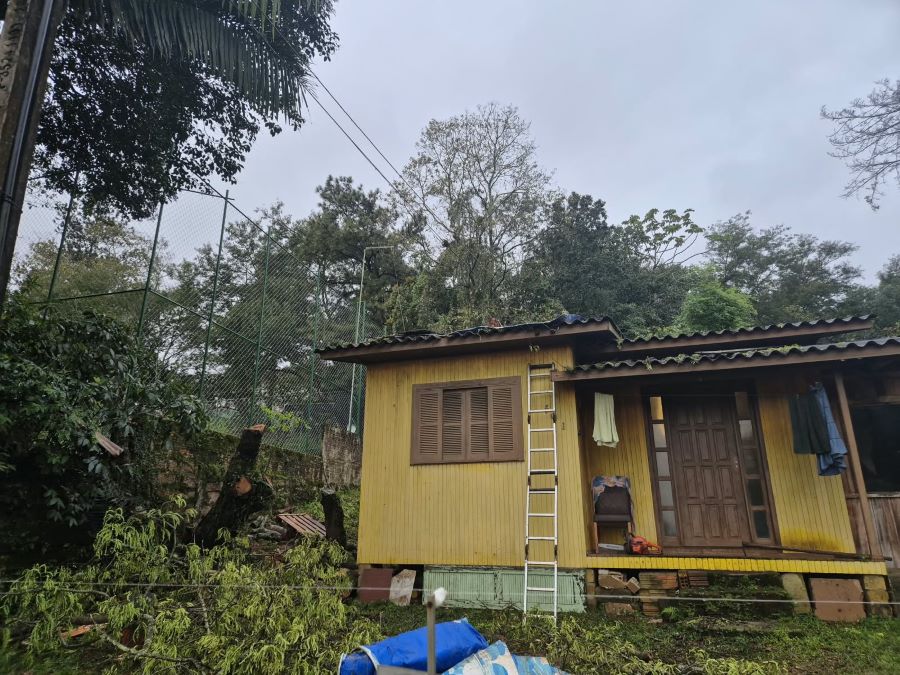 Moradores abandonam residência após arvore ameaçar cair sobre casa em Maracajá