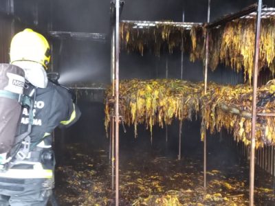 Incêndio causa grandes danos a estufa de fumo no interior de Maracajá