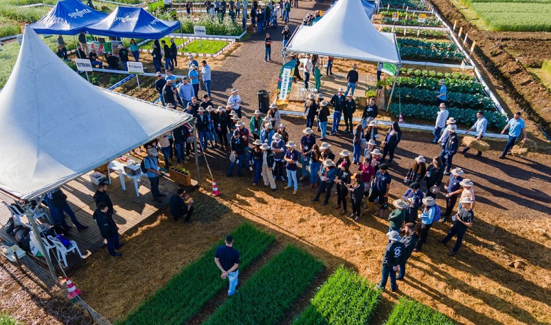 Cooperja realiza 5ª edição do Campo Agroacelerador de Inverno em Jacinto Machado