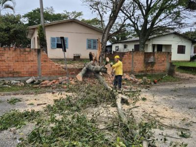 Corpo de bombeiros remove arvore que caiu sobre rodovia em Maracajá