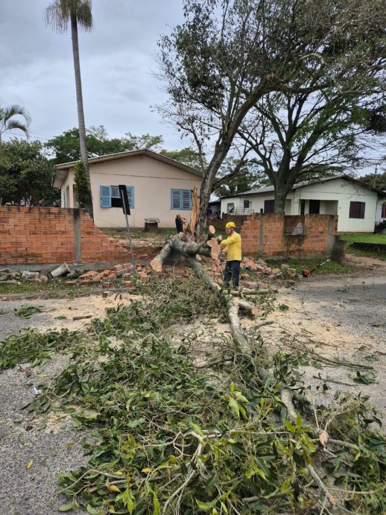 Corpo de bombeiros remove arvore que caiu sobre rodovia em Maracajá