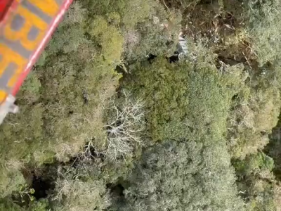 Forças de segurança localizam helicóptero desaparecido na Serra Catarinense