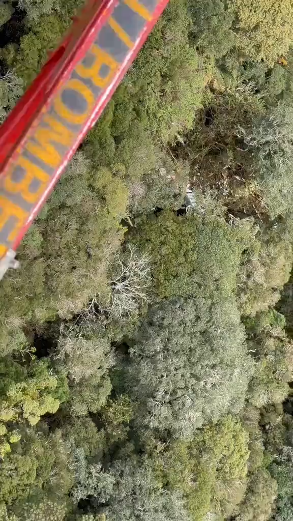Forças de segurança localizam helicóptero desaparecido na Serra Catarinense