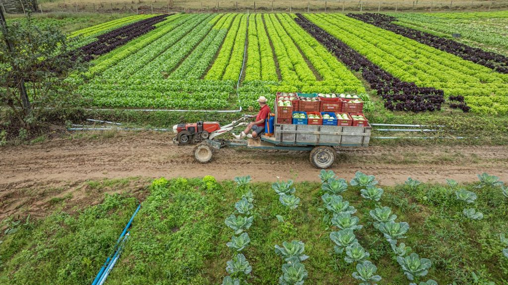 Governo de SC amplia acesso de produtores rurais catarinenses a créditos de ICMS